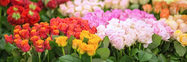 Kwiaty, dodatki – szeroka oferta produktów